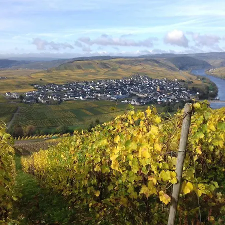Mosel/trittenheim 度假居 *