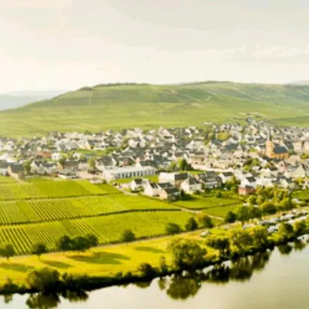 度假居 Mosel/trittenheim *