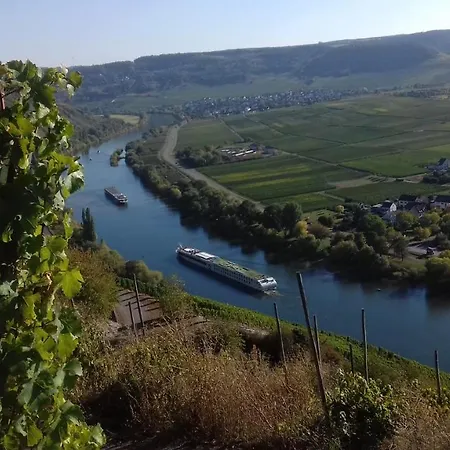 Mosel/trittenheim * トリッテンハイム