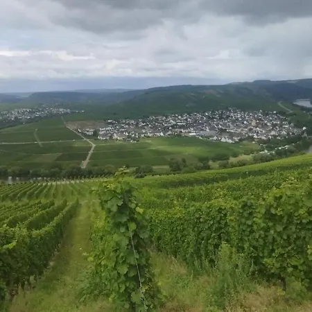 Mosel/trittenheim