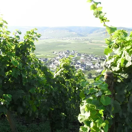 度假居 Mosel/trittenheim