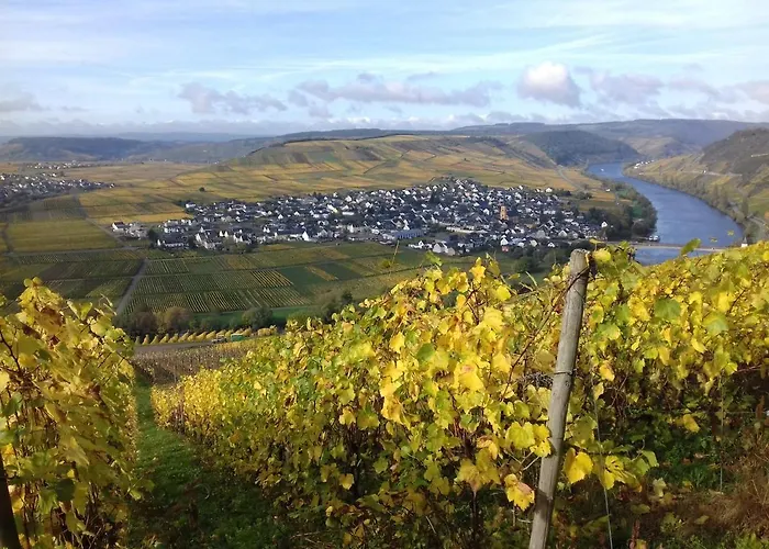 Mosel/trittenheim Casa de Férias *