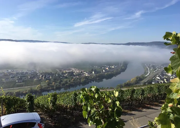 Casa de Férias Mosel/trittenheim