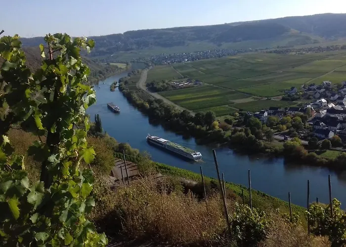 Mosel/trittenheim * Trittenheim