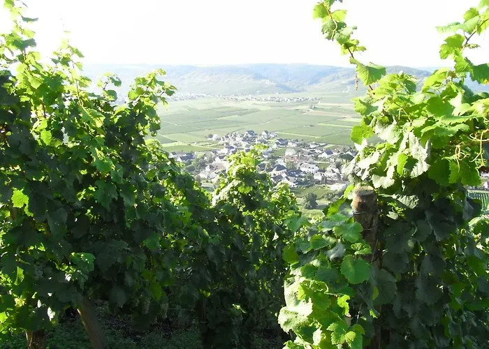 Casa de Férias Mosel/trittenheim